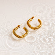 Hollywood Hoop Earrings