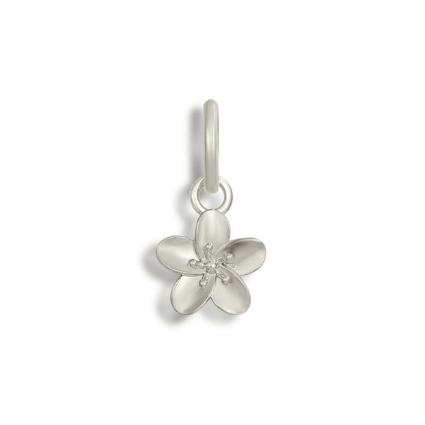 Bikini Charms