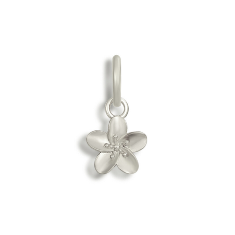 Shoe Charms