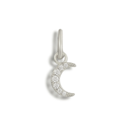 Shoe Charms